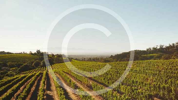 Farming in Australia